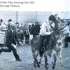 1965 DONKEY RIDING STEVENAGE DAY